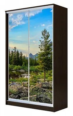 Шкаф-купе ХИТ 24-17-77 ПРИРОДА в Ханты-Мансийске - hanty-mansiysk.mebel24.online | фото