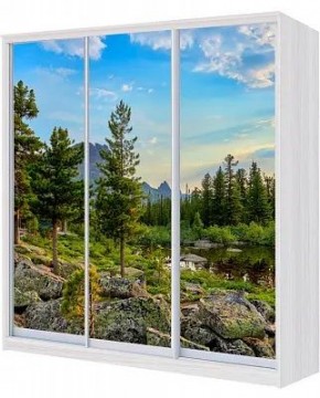 Шкаф-купе ХИТ 24-4-18-777 ПРИРОДА в Ханты-Мансийске - hanty-mansiysk.mebel24.online | фото