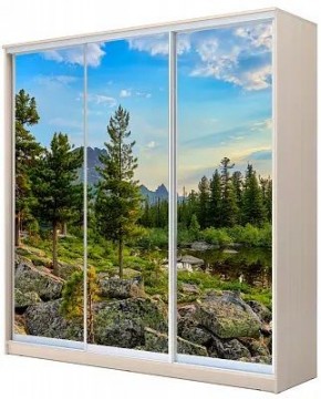 Шкаф-купе ХИТ 24-4-20-777 ПРИРОДА в Ханты-Мансийске - hanty-mansiysk.mebel24.online | фото