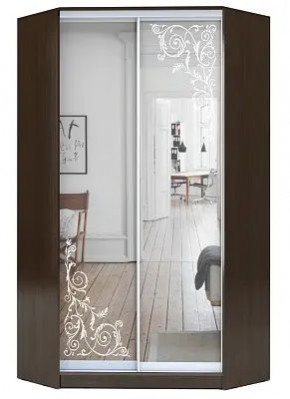 Шкаф-купе ХИТ-У-R-23-64-66 ОРНАМЕНТ в Ханты-Мансийске - hanty-mansiysk.mebel24.online | фото