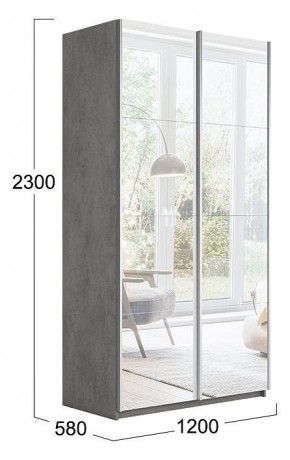 Шкаф-купе Траст СШК 2.120.60-13.13 в Ханты-Мансийске - hanty-mansiysk.mebel24.online | фото 3