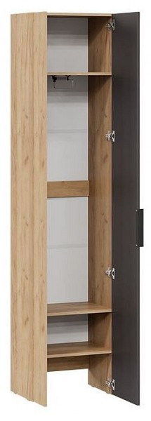 Шкаф платяной Асти в Ханты-Мансийске - hanty-mansiysk.mebel24.online | фото 2
