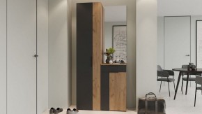 Шкаф платяной Асти в Ханты-Мансийске - hanty-mansiysk.mebel24.online | фото 5