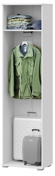 Шкаф платяной Эрика в Ханты-Мансийске - hanty-mansiysk.mebel24.online | фото 2