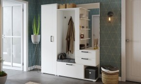 Шкаф платяной Эрика в Ханты-Мансийске - hanty-mansiysk.mebel24.online | фото 3