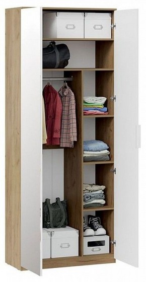Шкаф платяной Хилтон Исп. 2.1 в Ханты-Мансийске - hanty-mansiysk.mebel24.online | фото 4