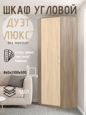 Шкаф угловой Дуэт Люкс без зеркала в Ханты-Мансийске - hanty-mansiysk.mebel24.online | фото 7