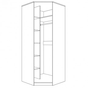 Шкаф угловой (корпус) Парма Нео в Ханты-Мансийске - hanty-mansiysk.mebel24.online | фото 4