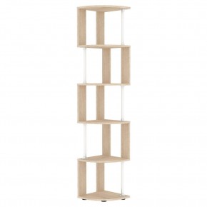 Стеллаж Alice S110 (ДСС) в Ханты-Мансийске - hanty-mansiysk.mebel24.online | фото