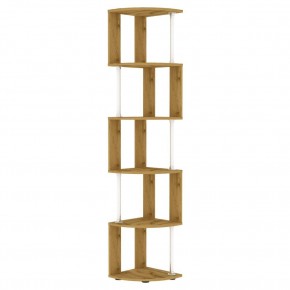 Стеллаж Alice S110 (ДВ) в Ханты-Мансийске - hanty-mansiysk.mebel24.online | фото