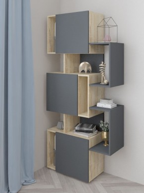 Стеллаж Дублин в Ханты-Мансийске - hanty-mansiysk.mebel24.online | фото 2