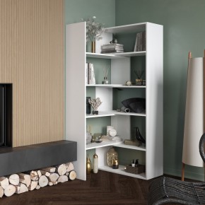 Стеллаж Остин в Ханты-Мансийске - hanty-mansiysk.mebel24.online | фото 1