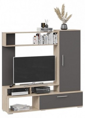 Стенка для гостиной Сиена в Ханты-Мансийске - hanty-mansiysk.mebel24.online | фото 2