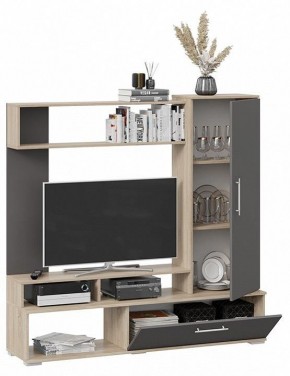 Стенка для гостиной Сиена в Ханты-Мансийске - hanty-mansiysk.mebel24.online | фото 3