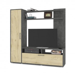РИГА Стенка в Ханты-Мансийске - hanty-mansiysk.mebel24.online | фото 1