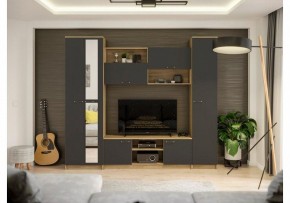 Стенки для гостиной Бертелена в Ханты-Мансийске - hanty-mansiysk.mebel24.online | фото 2