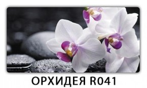 Стол Бриз с фотопечатью Цветы R044 в Ханты-Мансийске - hanty-mansiysk.mebel24.online | фото 10