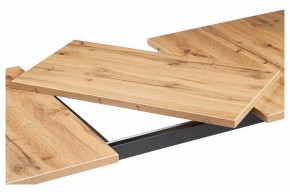 Стол обеденный Лота Лофт в Ханты-Мансийске - hanty-mansiysk.mebel24.online | фото 6
