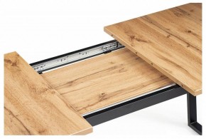 Стол обеденный Лота Лофт в Ханты-Мансийске - hanty-mansiysk.mebel24.online | фото 9