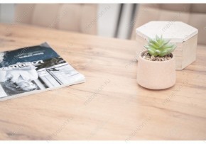 Стол обеденный Тринити Лофт 120 в Ханты-Мансийске - hanty-mansiysk.mebel24.online | фото 6