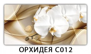 Стол раздвижной Трилогия с фотопечатью Доска D113 в Ханты-Мансийске - hanty-mansiysk.mebel24.online | фото 13