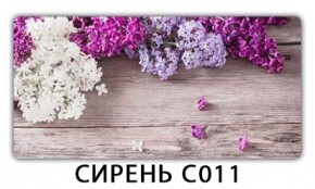 Стол раздвижной Трилогия с фотопечатью Доска D113 в Ханты-Мансийске - hanty-mansiysk.mebel24.online | фото 16