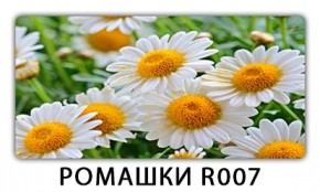 Стол раздвижной Трилогия с фотопечатью Лайм R156 в Ханты-Мансийске - hanty-mansiysk.mebel24.online | фото 15