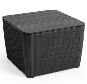Стол-сундук Лузон Плюс (Luzon Plus Flat Wicker), графит в Ханты-Мансийске - hanty-mansiysk.mebel24.online | фото 3