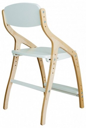 Стул Эверест в Ханты-Мансийске - hanty-mansiysk.mebel24.online | фото 3
