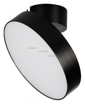 Светильник на штанге Arlight SP-RONDO-FLAP-R210-20W Day4000 (BK, 110 deg) 026453 в Ханты-Мансийске - hanty-mansiysk.mebel24.online | фото 2
