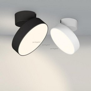 Светильник на штанге Arlight SP-RONDO-FLAP-R210-20W Day4000 (BK, 110 deg) 026453 в Ханты-Мансийске - hanty-mansiysk.mebel24.online | фото 3