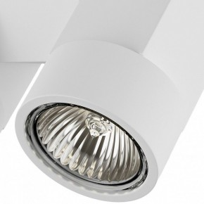 Светильник на штанге Lightstar Illumo X2 051036 в Ханты-Мансийске - hanty-mansiysk.mebel24.online | фото 2