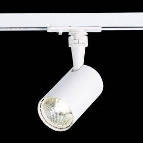 Светильник на штанге ST-Luce Cami ST351.536.10.36 в Ханты-Мансийске - hanty-mansiysk.mebel24.online | фото 7