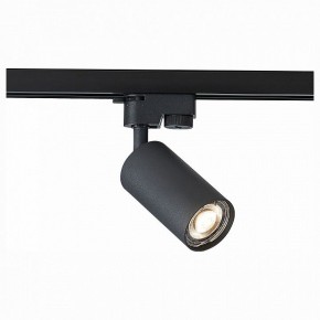 Светильник на штанге ST-Luce Solt ST300.406.01 в Ханты-Мансийске - hanty-mansiysk.mebel24.online | фото 1