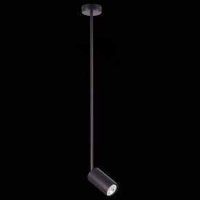 Светильник на штанге ST-Luce Sormano SL1206.403.01 в Ханты-Мансийске - hanty-mansiysk.mebel24.online | фото 4