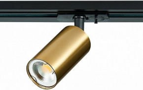 Светильник на штанге ST-Luce ST300 ST300.206.01 в Ханты-Мансийске - hanty-mansiysk.mebel24.online | фото