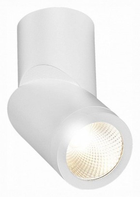 Светильник на штанге ST-Luce ST650 ST650.532.10 в Ханты-Мансийске - hanty-mansiysk.mebel24.online | фото 3