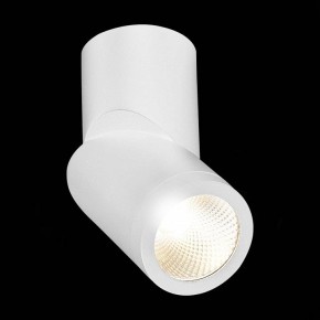Светильник на штанге ST-Luce ST650 ST650.532.10 в Ханты-Мансийске - hanty-mansiysk.mebel24.online | фото 5