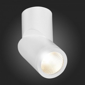 Светильник на штанге ST-Luce ST650 ST650.532.10 в Ханты-Мансийске - hanty-mansiysk.mebel24.online | фото 6