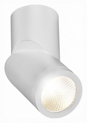 Светильник на штанге ST-Luce ST650 ST650.542.10 в Ханты-Мансийске - hanty-mansiysk.mebel24.online | фото 3