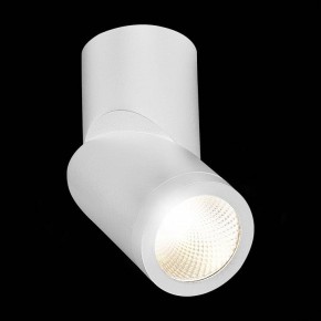 Светильник на штанге ST-Luce ST650 ST650.542.10 в Ханты-Мансийске - hanty-mansiysk.mebel24.online | фото 5