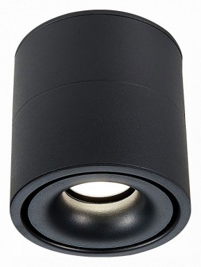 Светильник на штанге ST-Luce ST652 ST652.442.12 в Ханты-Мансийске - hanty-mansiysk.mebel24.online | фото 2