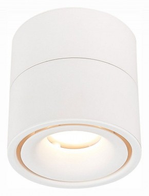 Светильник на штанге ST-Luce ST652 ST652.532.12 в Ханты-Мансийске - hanty-mansiysk.mebel24.online | фото 2