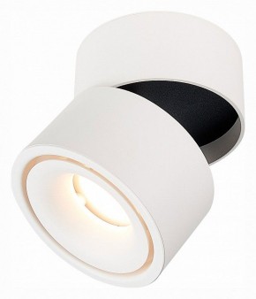 Светильник на штанге ST-Luce ST652 ST652.532.12 в Ханты-Мансийске - hanty-mansiysk.mebel24.online | фото 3