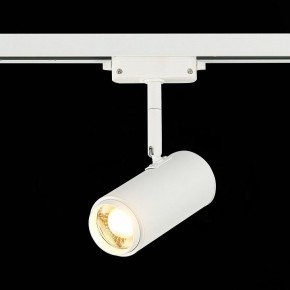 Светильник на штанге ST-Luce Zoom ST600.536.12 в Ханты-Мансийске - hanty-mansiysk.mebel24.online | фото 4