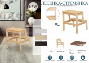 Табурет Стремянка в Ханты-Мансийске - hanty-mansiysk.mebel24.online | фото 4