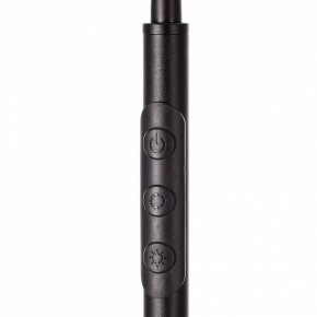 Торшер Citilux Alex CL804051 в Ханты-Мансийске - hanty-mansiysk.mebel24.online | фото 4
