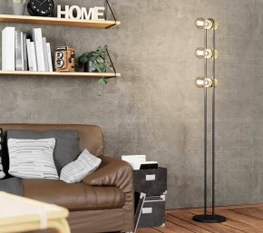 Торшер Eglo ПРОМО Chieveley 43544 в Ханты-Мансийске - hanty-mansiysk.mebel24.online | фото 2
