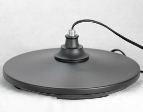 Торшер Lussole Greene LSP-0572 в Ханты-Мансийске - hanty-mansiysk.mebel24.online | фото 4