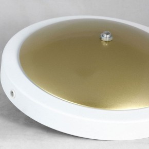 Торшер Lussole LSP-062 LSP-0625 в Ханты-Мансийске - hanty-mansiysk.mebel24.online | фото 2
